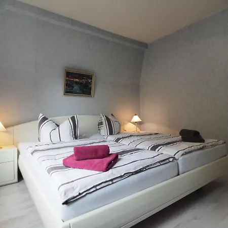 Carmen * 브라운라제